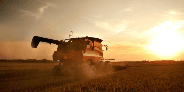 harvesting grain