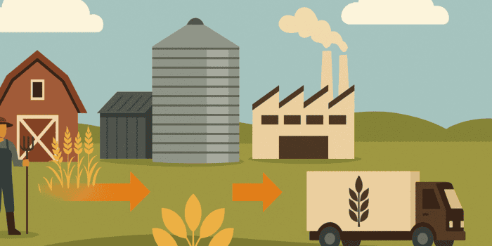 supply chain
