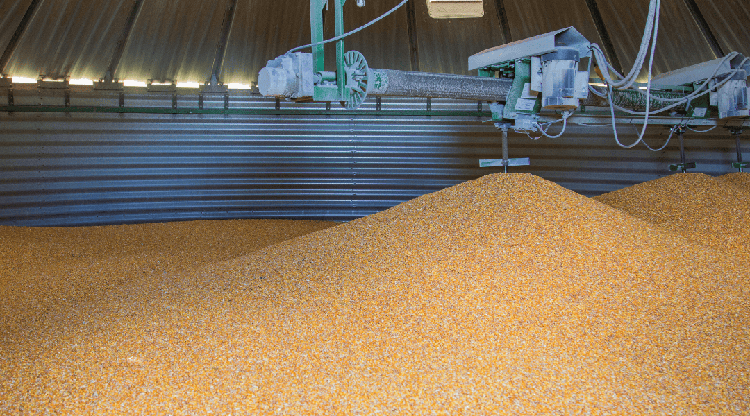 expert silo cleaning